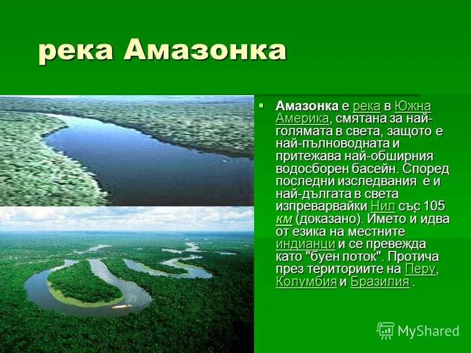 Проект река Амазонка. Река Амазонка география 7 класс. Река Амазонка презентация. Амазония информация. Положение на южной америке рек и озер