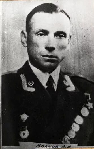 Павлович волков