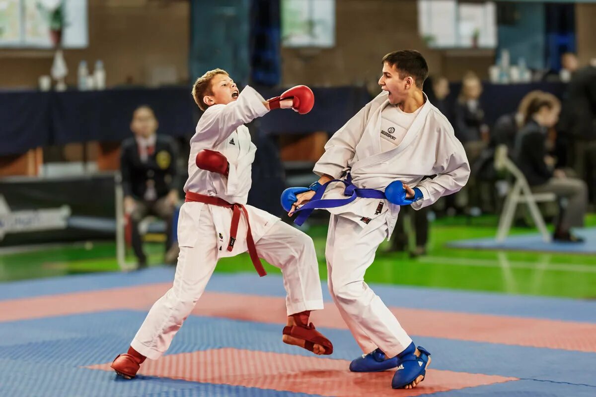 World karate federation wkf. форумы карате. форумы карате. аскер зрумов кекусинкай. карате россия.