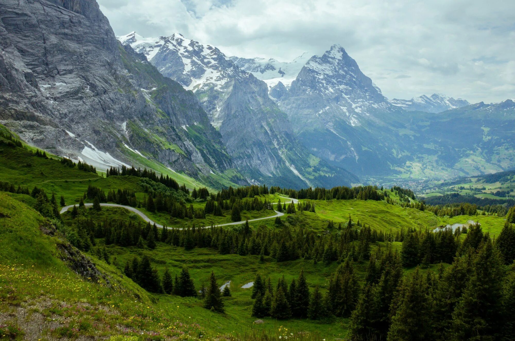 Южные альпы новая зеландия. Вид с горы. Природа швейцарии альпы. Горы лес альпы. Канада альпийские луга.