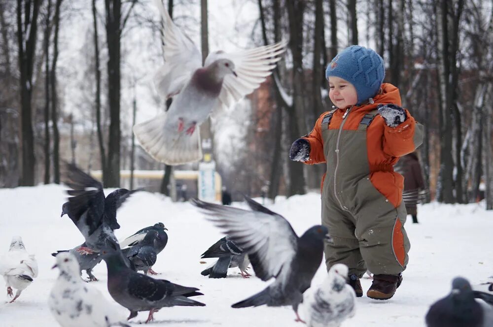 Мальчик гоняет. Дети гоняют птиц. Дети гоняют птиц в парке. Иллюстрация дети гоняют птиц. Голубей гонять.