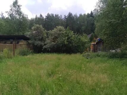 Погода в пласкинино