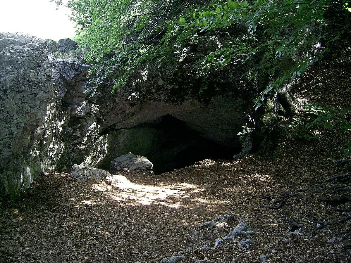 Мурзак-коба в крыму. Пещера грот киик коба. Пещера киик-коба в крыму. Стоянка мурзак-коба. Фатьма коба пещера.