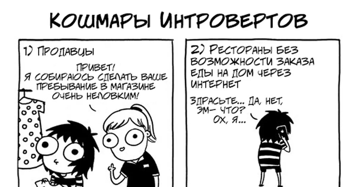 Про интровертов. Про интровертов