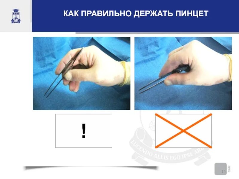 Как правильно держать пинцет. Как правильно держать хирургический пинцет. положение пинцета в руке. положение хирургического пинцета в руке.
