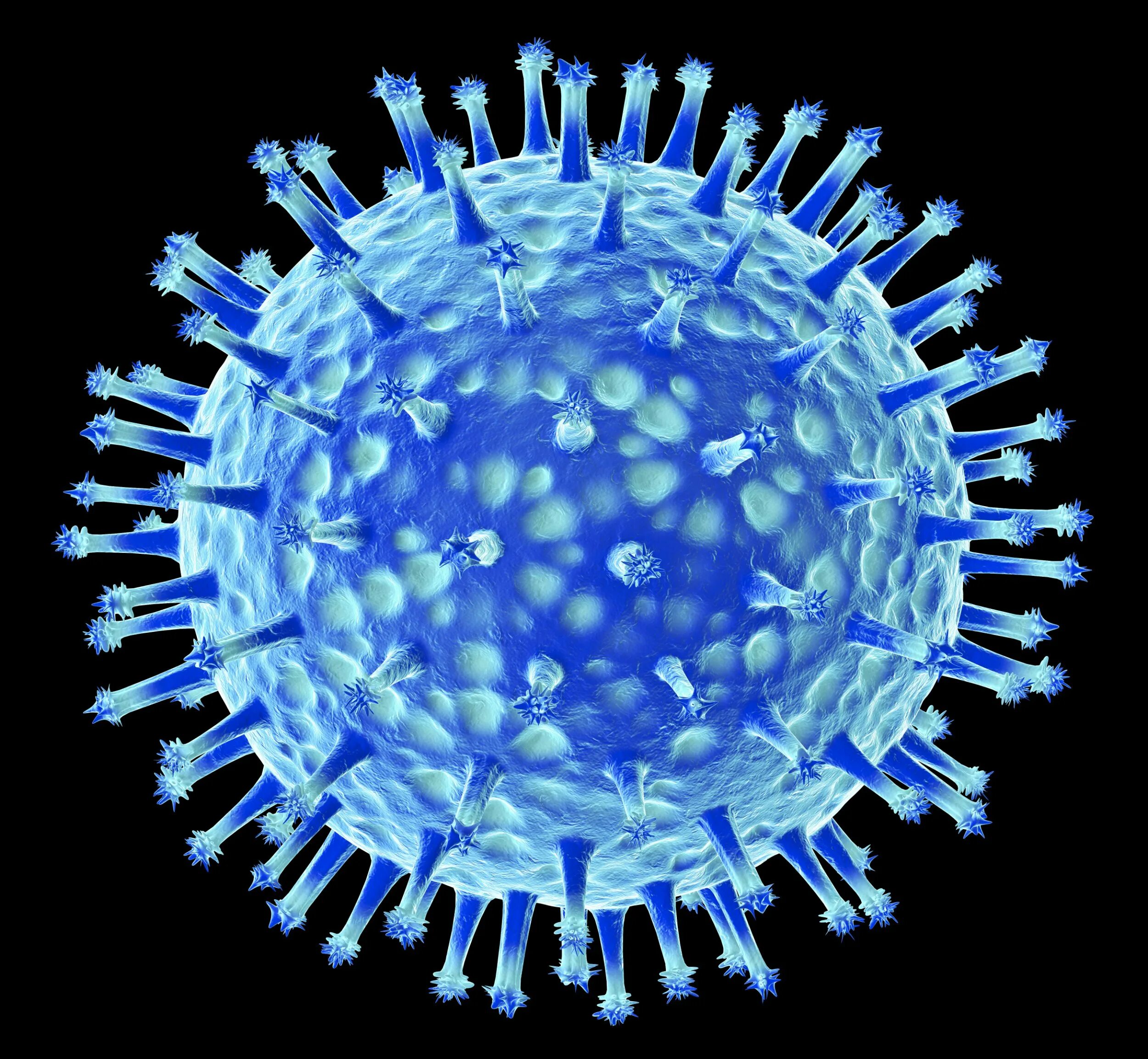 Вирус гриппа h5n1. Парагрипп это коронавирус. Сферические вирусы. Изображение вируса гриппа. Возникновение гриппа