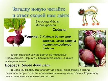 Свекла детям с какого возраста