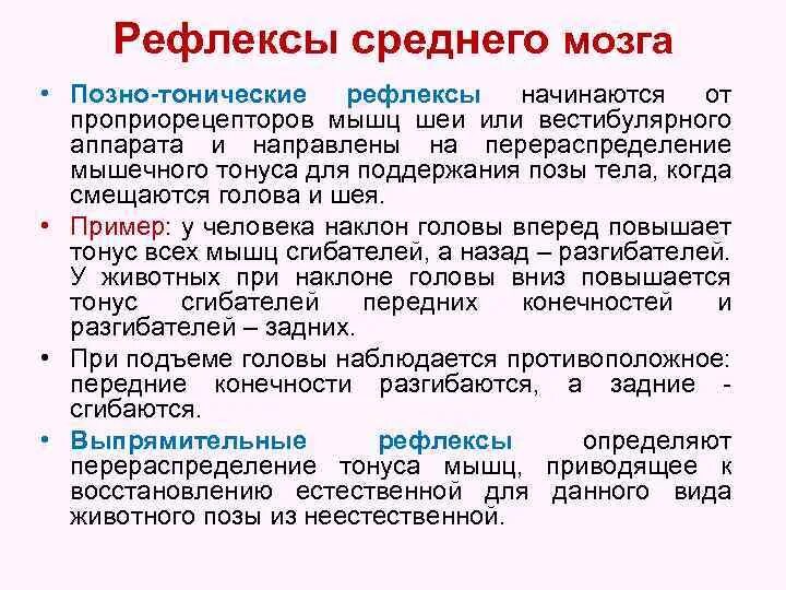 Рефлексы мышц. Двигательные рефлексы среднего мозга. Классификация познотонических рефлексов. Тонические рефлексы физиология. Тонические рефлексы среднего мозга.