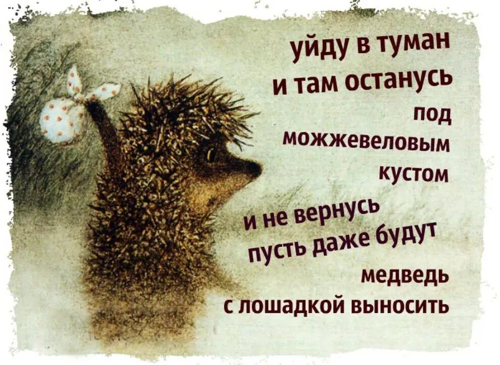 Почему вы ушли с предыдущего
