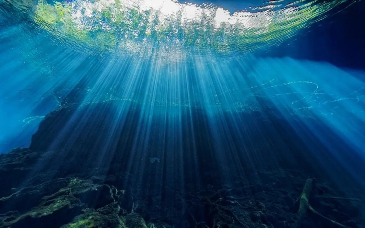 Проникнуть в глубь. Океаны. Глубина. Море под водой. Океан под водой. Дно океана.