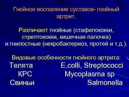 Гнойные воспаления лечение