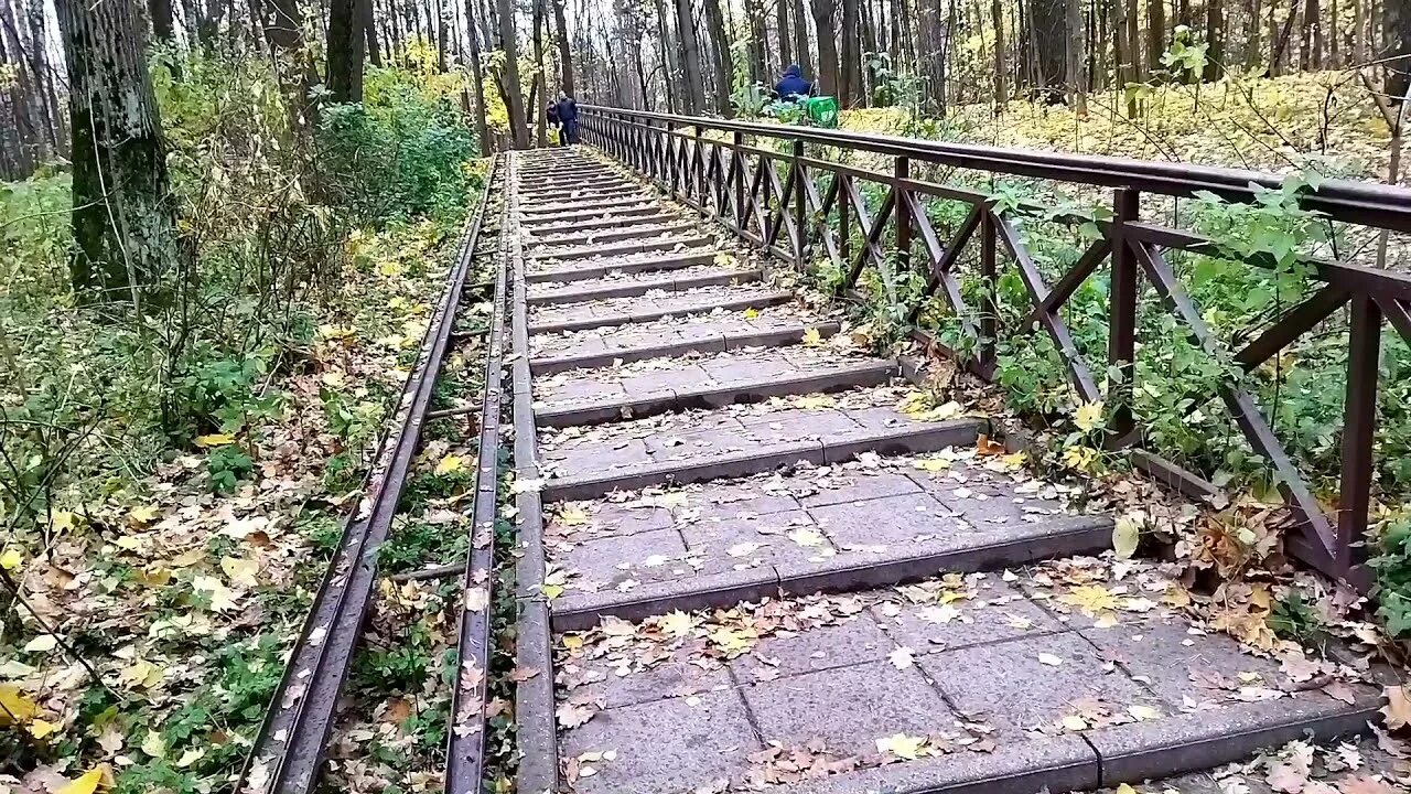 Родник царевна лебедь в лесопарке покровское-стрешнево. Родник лебедь в парке покровское-стрешнево. Парк покровское стрешнево лебедь. Парк покровское стрешнево лебедь. Родник белый лебедь покровское стрешнево.