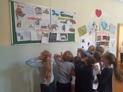 День защиты животных классный час 5 класс