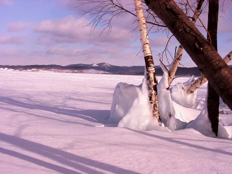 Winter gallery. Зимний пейзаж. Iarna 800x600. Зима эстетика. Зимний лес обои.