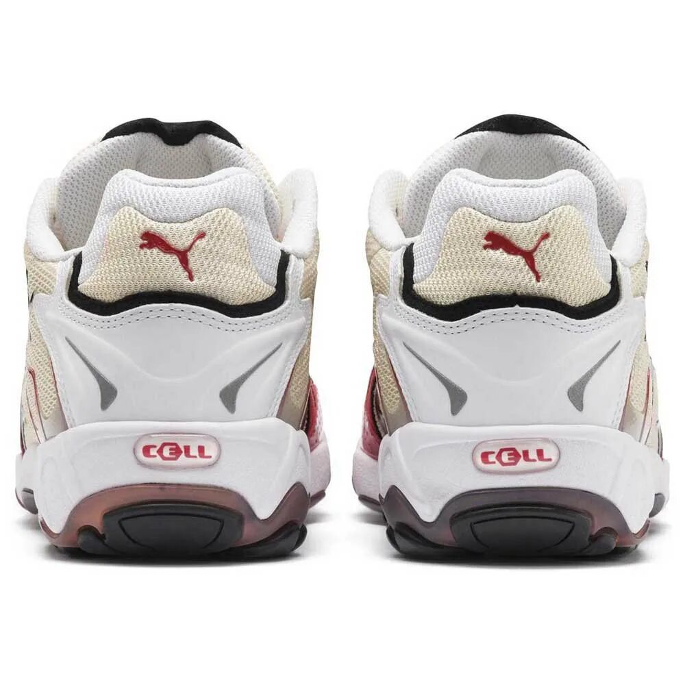 Puma inhale. Puma inhale
