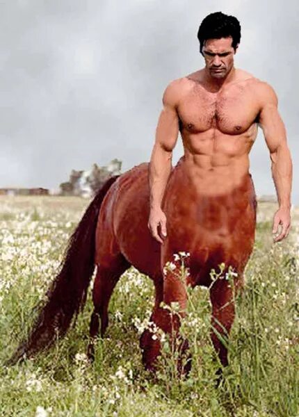 Конь мужик баб. Человек конь. Парни жеребцы. Мужская фотосессия с лошадью.