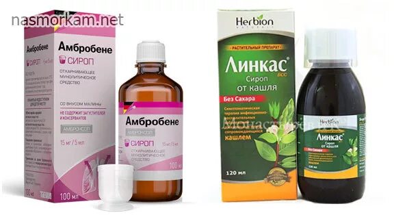 Сироп от сухого кашля. Препараты от сухого и влажного кашля одновременно. От кашля для детей гербион сироп влажного кашля. Сироп от сухого и влажного кашля для детей. Гербион сироп отхаркивающий для детей.