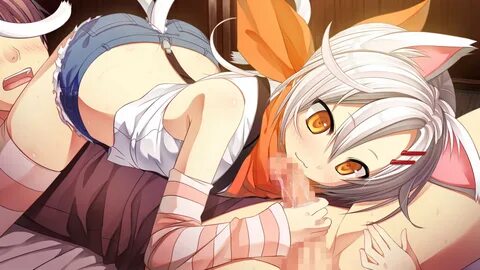 Catgirls 