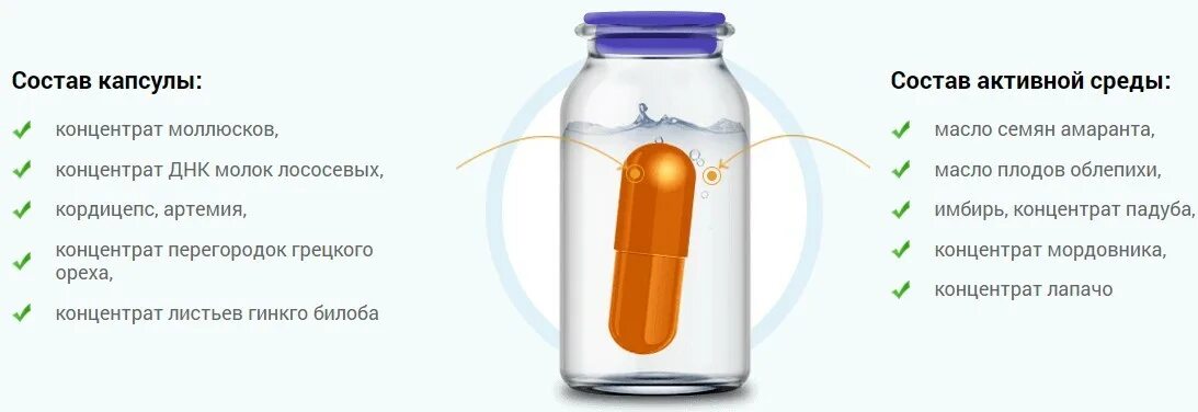 Сделать капс. Состав капсул. из чего состоит капсула. из чего состоит капсула для таблетки.