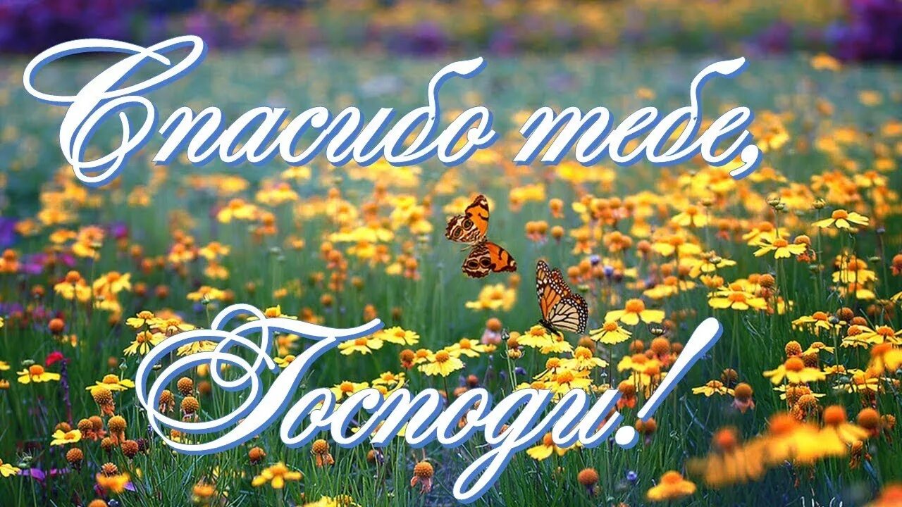 Песня благодарю тебя родной. Благодарю тебя Господь. Благодарность Богу. Спасибо тебе. Спасибо Господи.