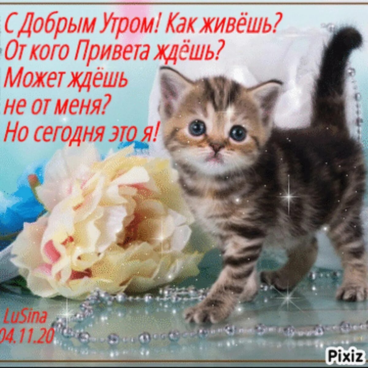 Привет м р. От кого привета ждешь. привет!. привет от кого привета ждешь. привет как живёшь от кого привет дождёшь.