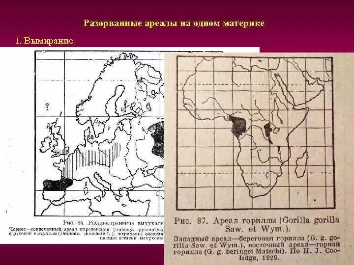 Изменение ареалов. Типология ареалов. разорванный ареал. локальный ареал. типизация ареалов.
