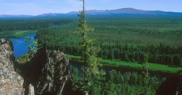 Печоро илычский заповедник фото Печоро-Илычский государственный заповедник Фотогалерея
