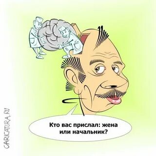 Прикол про мозги