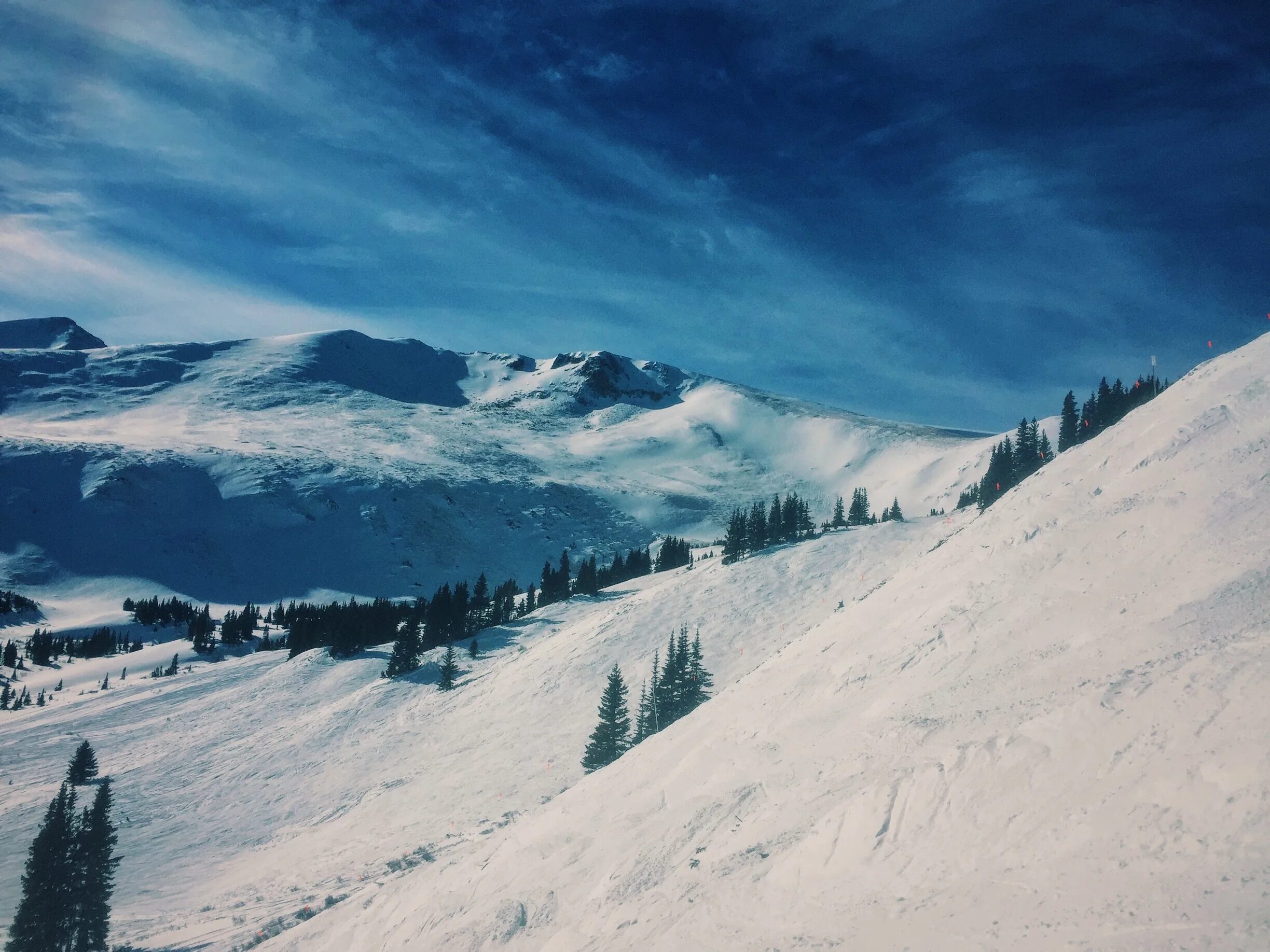 Top winter