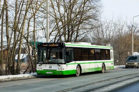 Автобус 494 белоостров расписание