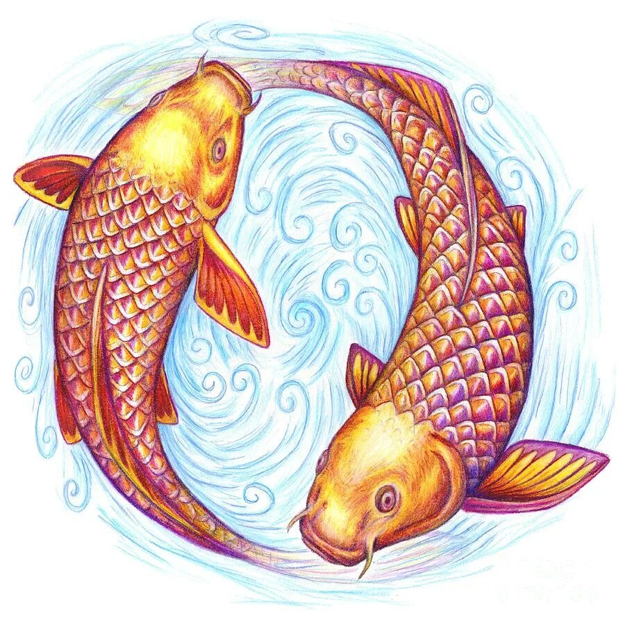 Знак двух рыб. Золотые рыбки Инь Янь. Карпы кои символ. Золотые карпы Инь Янь. Карпы богатство.