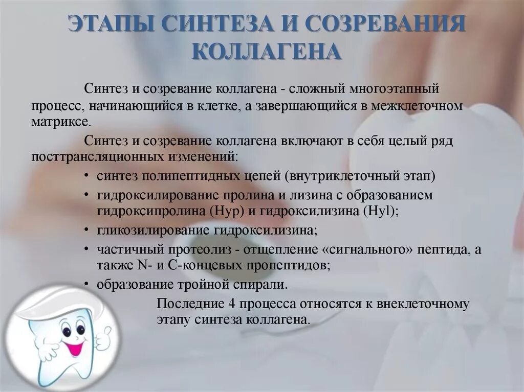 Схема внутриклеточного этапа синтеза коллагена. Этапы синтеза коллагена. Основные этапы синтеза коллагена. Этапы синтеза коллагеновых волокон гистология. Схема внутриклеточного синтеза коллагена.
