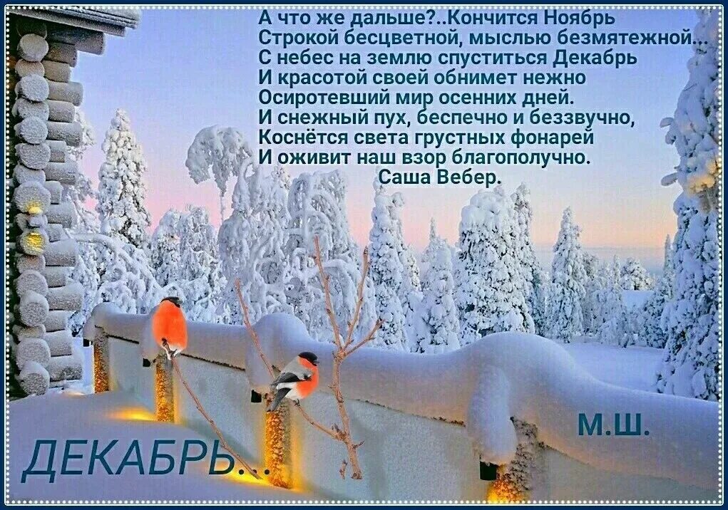 Ноябрь заканчивается