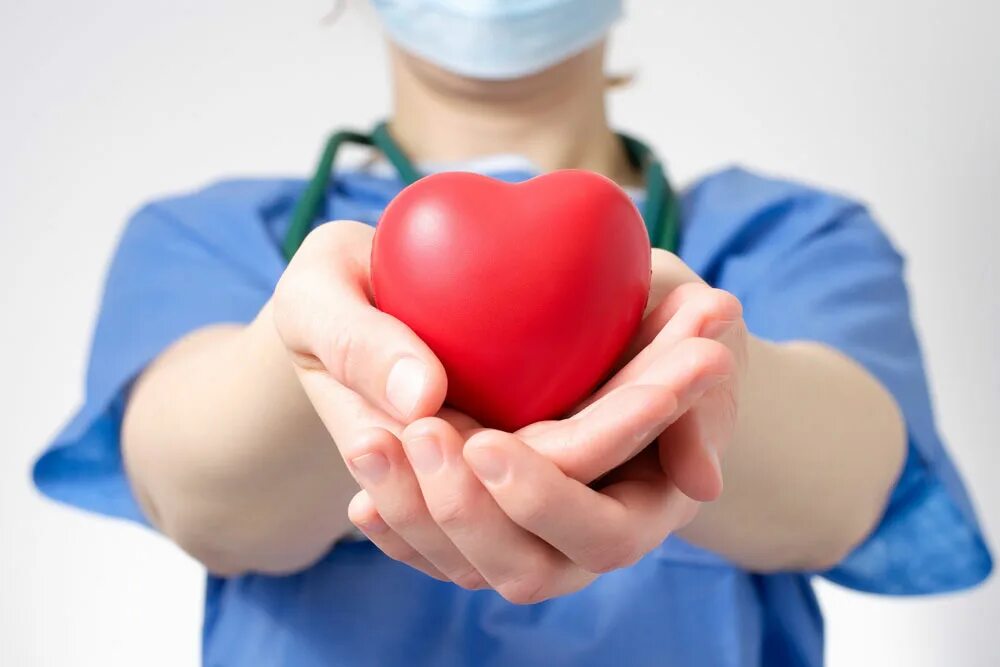 Донор тела. Доктор с сердцем в руках. Врач с сердечком в руках. Сердце в руках.