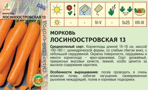 Морковь лосиноостровская характеристика и описание