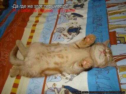 Да где можно