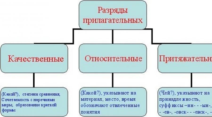 10 притяжательных слов. Таблица с примерами разряды имен прилагательных по значению. Разряды прилагательных 6 класс таблица. Разряды имён прилагательных по значению качественные прилагательные. Разряды прилагательных таблица 10 класс.