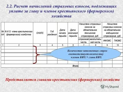 Отношения по уплате страховых взносов