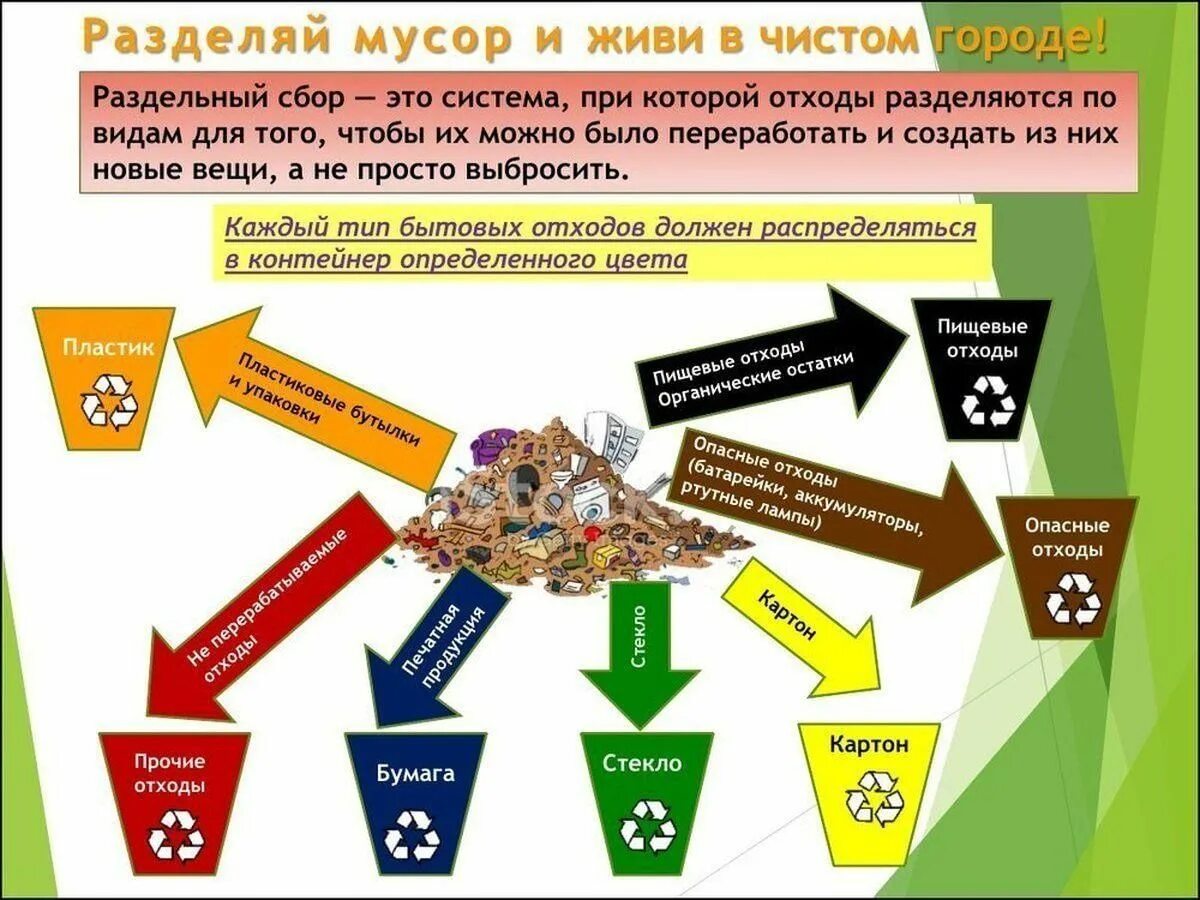 Проблемы решения бытовых отходов. Проблемы решения бытовых отходов