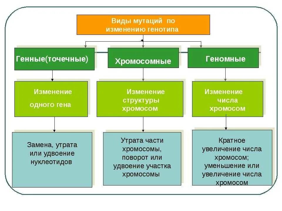 Причины изменения генов. Типы мутаций 9 класс биология. Мутационная изменчивость схема. Типы мутаций и их причины. Таблица типы мутаций биология 9 класс.