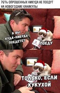 Новый год никуда мы не хотим