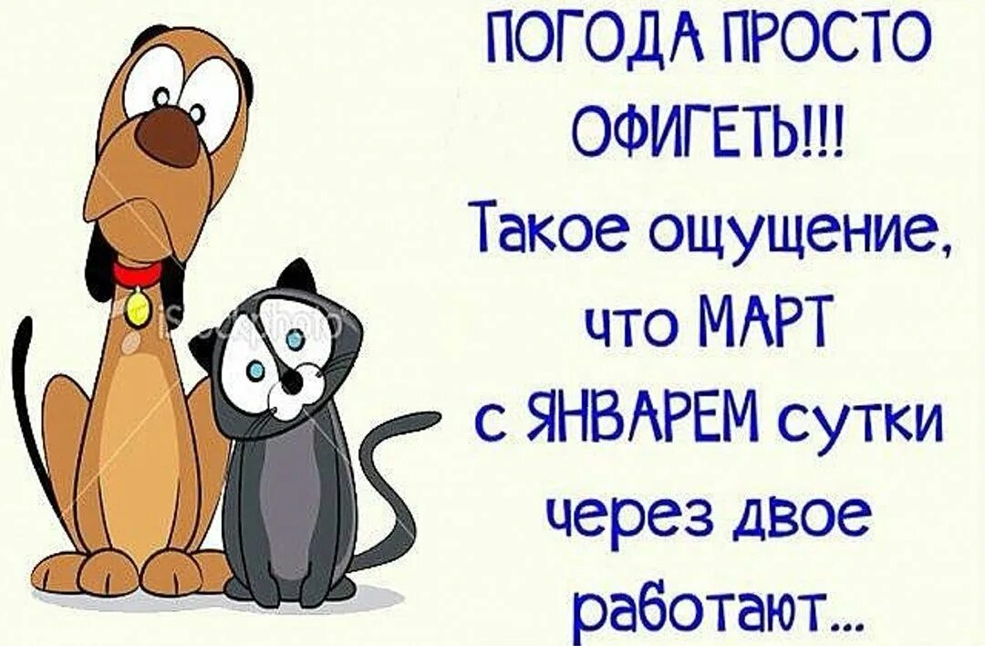 Открытки с юмором. Веселые статусы в картинках про погоду. Анекдоты про весну в картинках. Смешные цитаты про погоду. Завтра никаких картинок