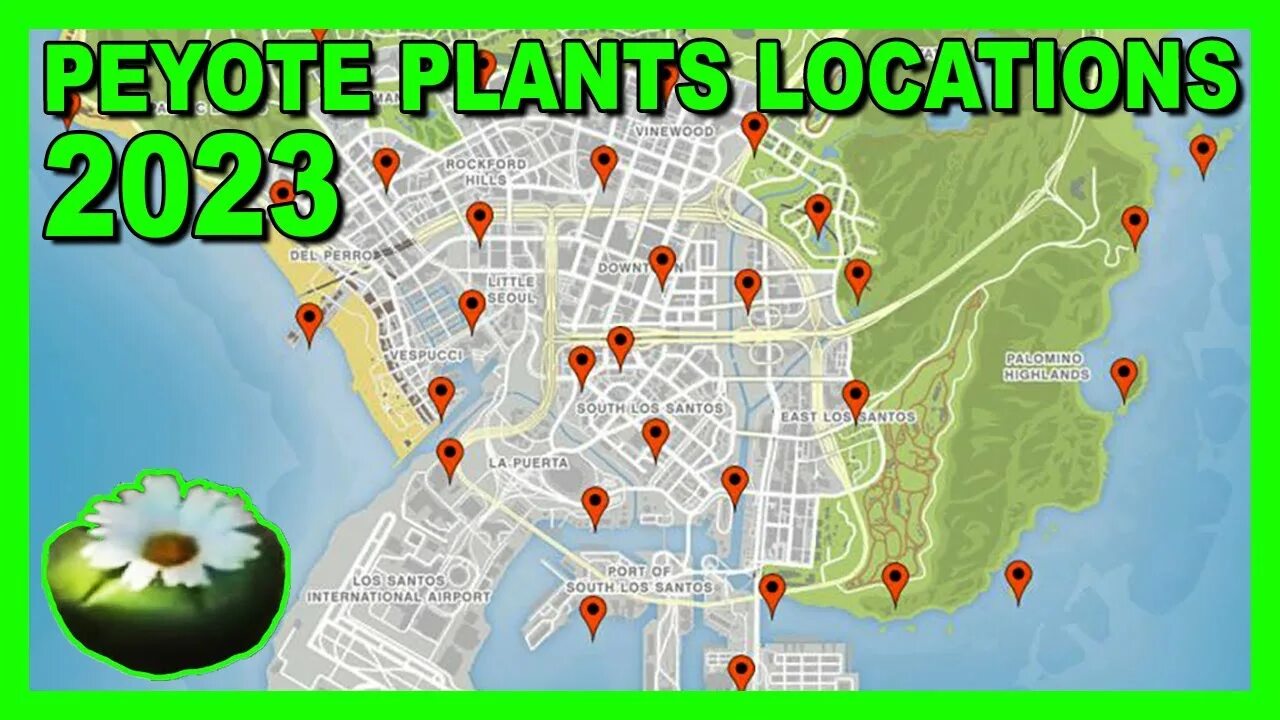 Карта оружия в гта 5. Gta 5 локации. Открытая карта гта 5. Карта gta 5 xbox 360. Гта 5 карта оружия.