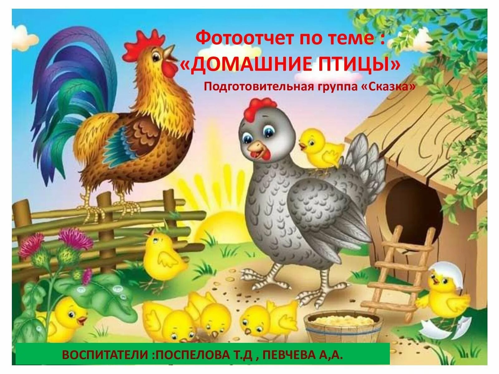 Птичий двор картинки для детей. Занятие &quot;курочка и цыплята&quot; бондаренко. игра птичий двор нищева. птичий двор для детского сада. домашняя птица.