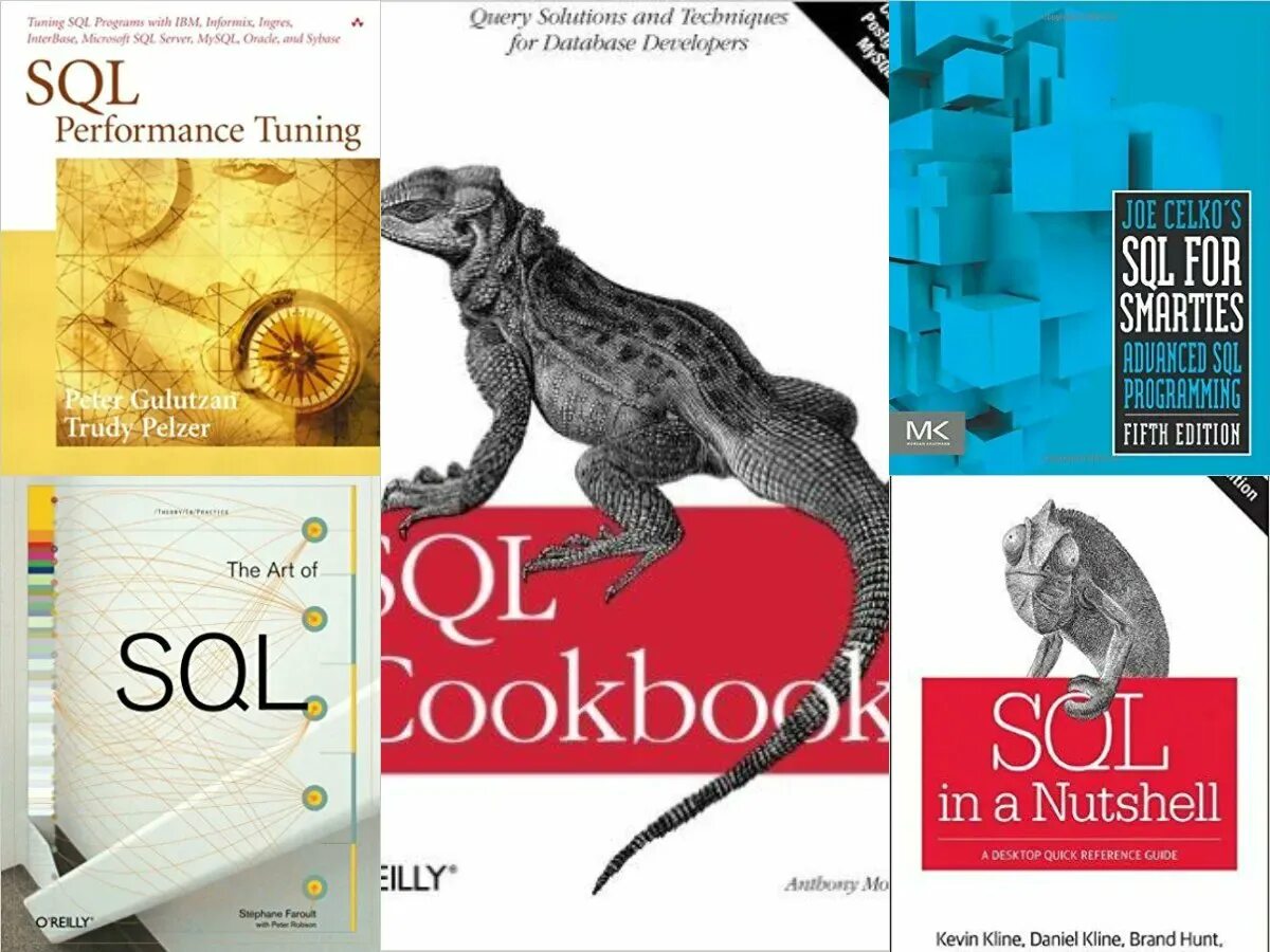Databases books. Sql книга. книга mysql. книги по sql. books for sql.