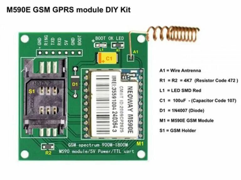 M module