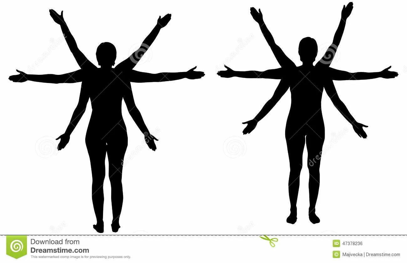 Как называется очертание. Как называется очертание. Как называется очертание. Как называется очертание. Силуэты одежды.