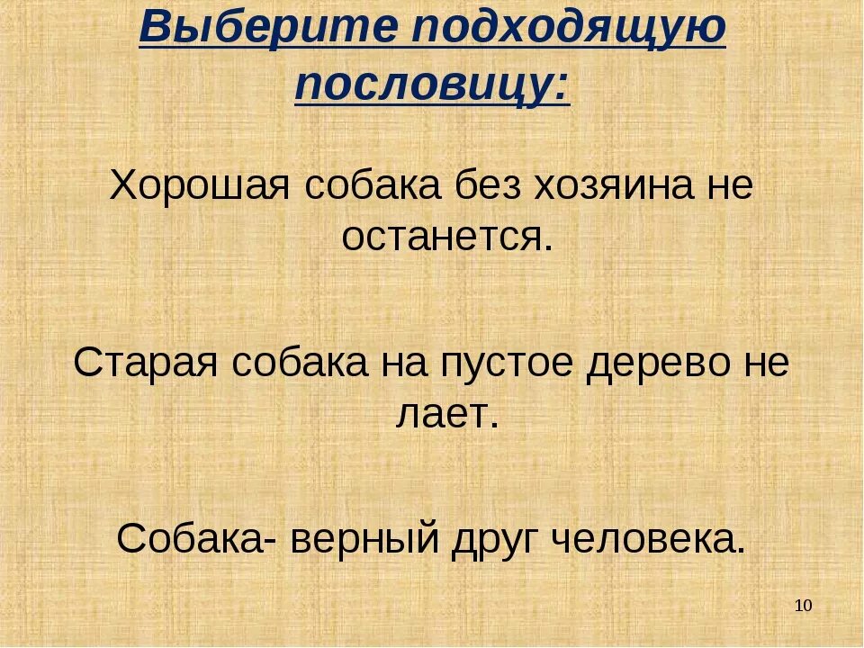 Поговорки про собак. Пословицы про собак. Пословицы про собаку для детей. Пословицы и поговорки про собак. Волшебное слово какая пословица подходит