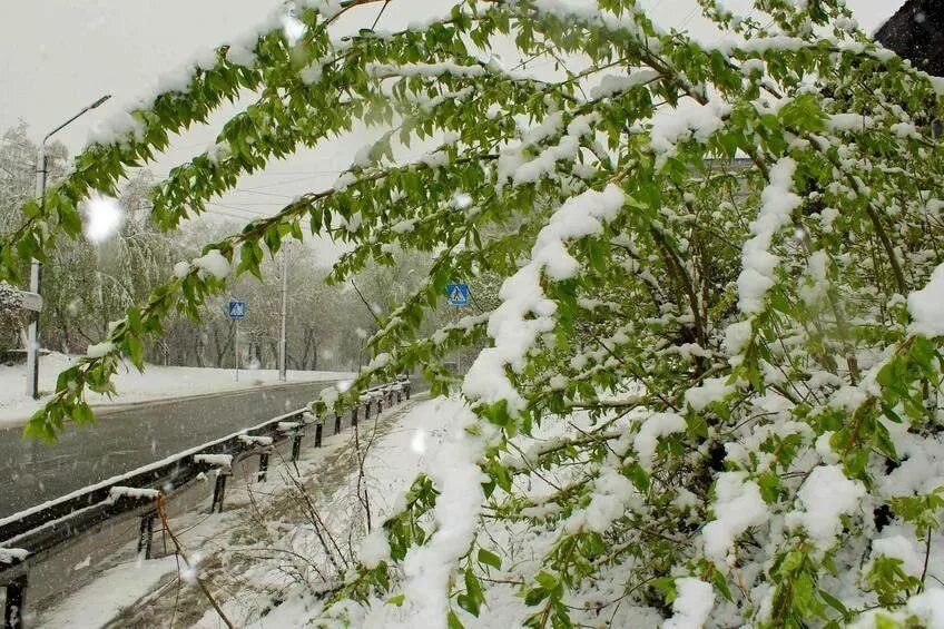 Снег летом. Снег летом в России. Снегопад летом. Со снежным летом. Теплый летний снег