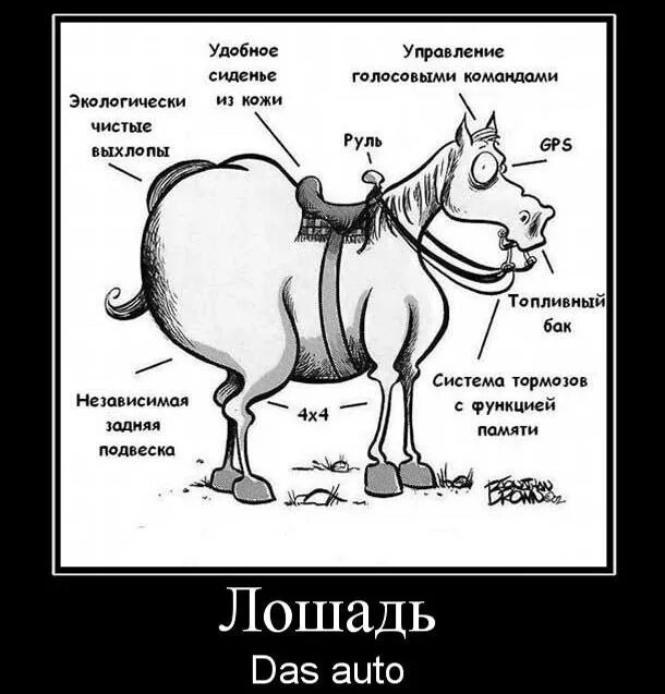 На кону выражение